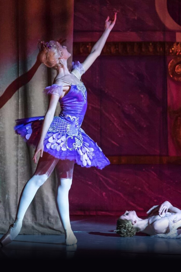 Спящая красавица